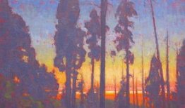 未知生,探寻未知世界的奥秘之旅